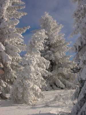 Neige en Auvergne