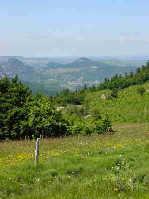 Mont Gerbier de Jonc